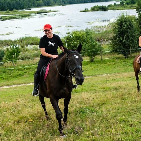 Stajnia Grazyny Mikorowo 46 Villa Czarna Dabrowka Kültér fotó